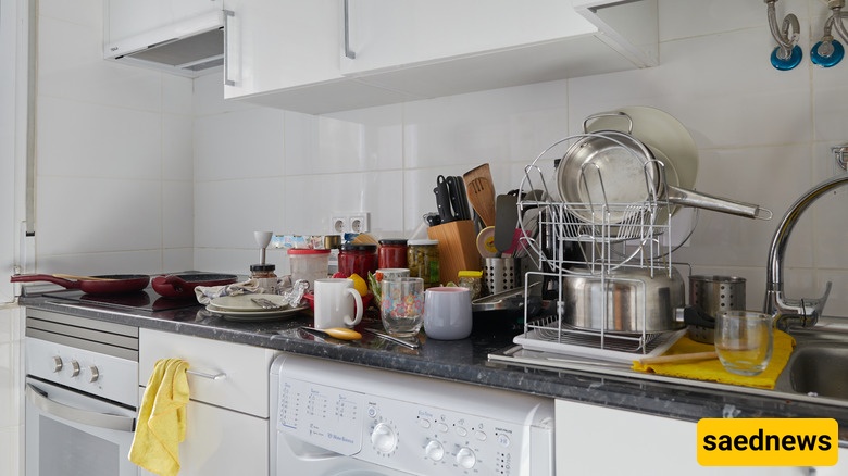 Extra Dishes and Containers