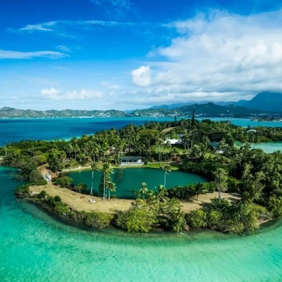 Coconut Island: A Tropical Paradise in Thailand