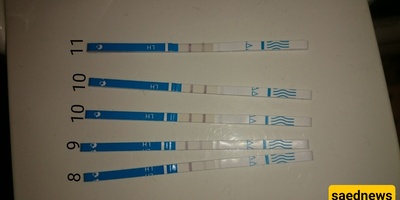 What Is An Ovulation Test Kit And How Is It Used?