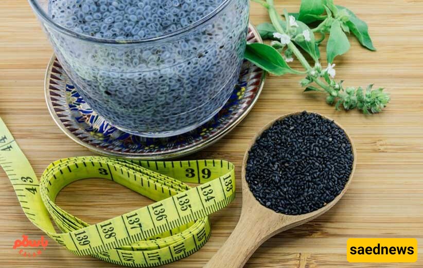 What Are Chia Seeds and How Do They Help with Weight Loss?