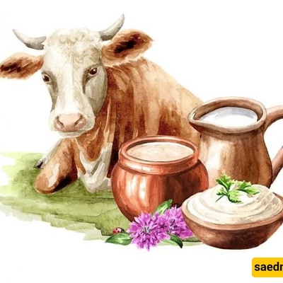 The Difference Between Cow and Sheep Ghee: From Flavor and Aroma to Health Benefits