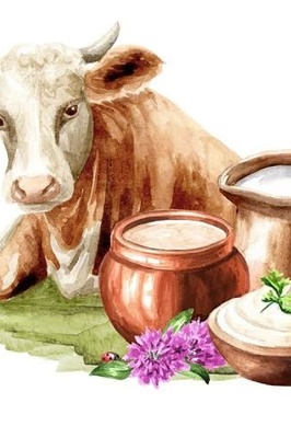 The Difference Between Cow and Sheep Ghee: From Flavor and Aroma to Health Benefits