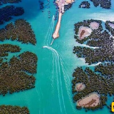 The Wonders of Harra Sea Forest, Iran's Forgotten Mangrove Paradise!