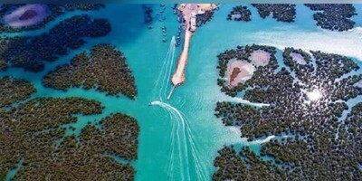 The Wonders of Harra Sea Forest, Iran's Forgotten Mangrove Paradise!