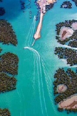 The Wonders of Harra Sea Forest, Iran's Forgotten Mangrove Paradise!