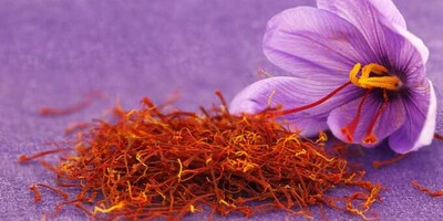 Saffron in Persian Cuisine: 9 Culinary Wonders that Captivate the Senses