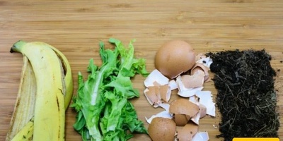 Making Fertilizer at Home with 7 Ingredients Found in Every Household / Keep Your Indoor Plants Fresh + Photos