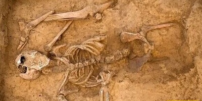 The Strange Life of a Woman Living with Her Husband’s Skeleton / The Bizarre Story of a Couple Who Gave Their Five Children to an Orphanage
