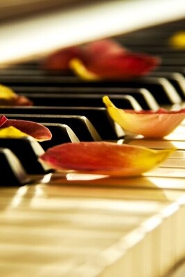 What Do You Know About Romantic Music?
