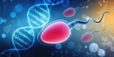 6 Foods To Improve Sperm Quality