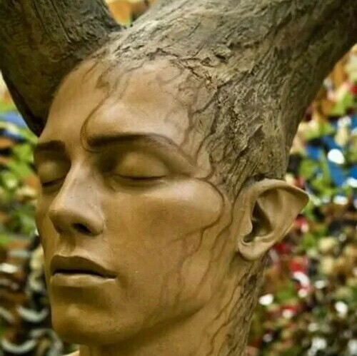 A New Artistic Masterpiece on Beheaded Trees Near Kaj Street in Tehran / Once Again, Iranians Prove That Art Belongs to Them and No One Else.