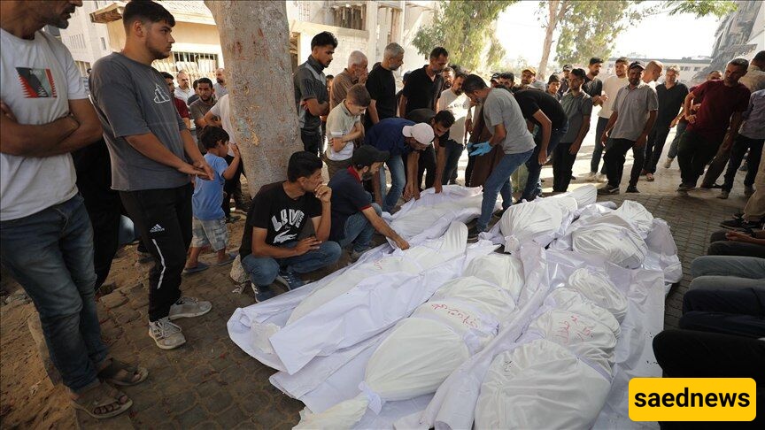 Israeli Regime Kills 14 Palestinians in Western Gaza