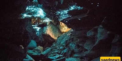 The World’s Most Breathtaking Cave: Waitomo Glowworm Cave
