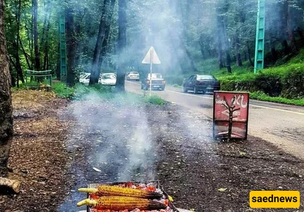 dalekhani forest