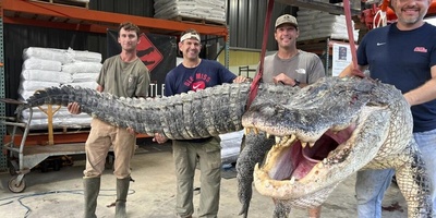 Hunting the Largest Crocodile in History in Mississippi, USA + Photos