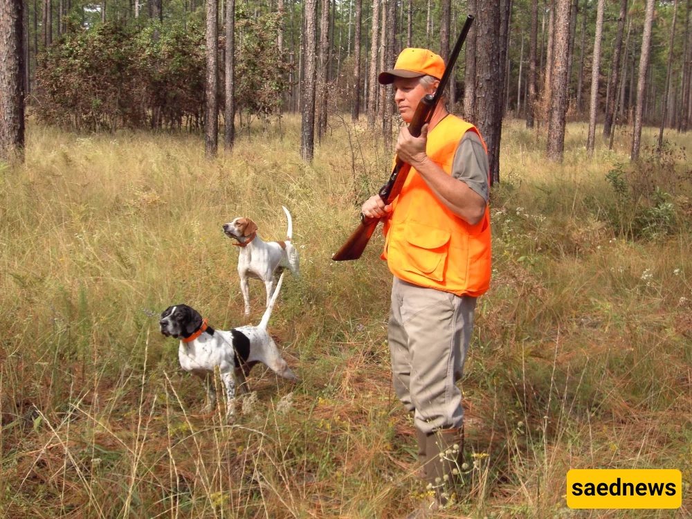 shooting animal in islam