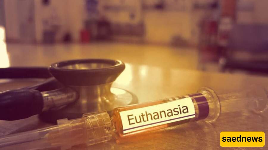 Do You Know What Euthanasia Is and What Its Ruling in Islam Is?