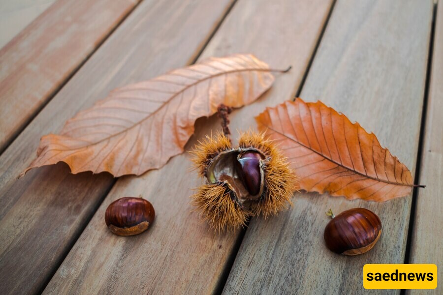 Chestnuts