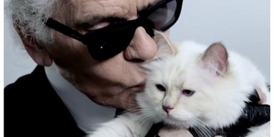 The World's Richest Cat Celebrates Its 11th Birthday on a Private Jet—Here’s Hoping Street Cats Get Some Luck 😐 + Photos