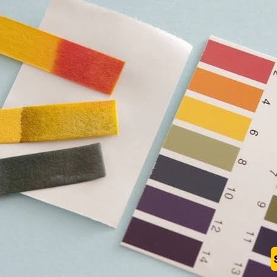 The Importance of pH Paper in Measuring Acidity and Alkalinity