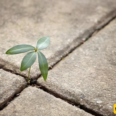 Ways to Increase Blessings and Abundance in the Home