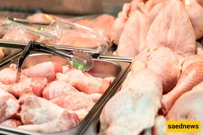 The Dangers of Consuming Chicken Wings and Necks / A Must-Read for Chicken Wing and Neck Lovers