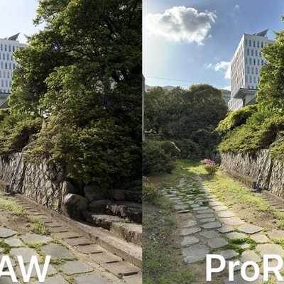 What Is ProRAW and How Does It Work?
