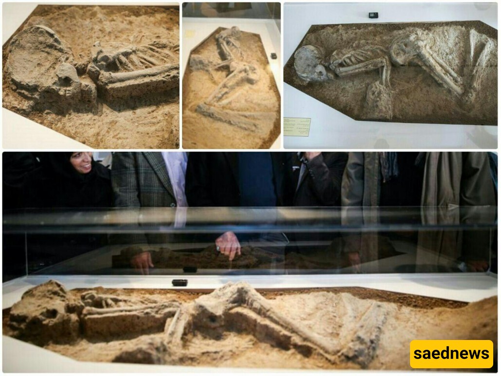 3,200-year-old Iron Age Woman's Skeleton Discovered In Northern Iran