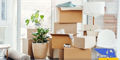 Important Tips for Moving Plants and Flowers During Relocation