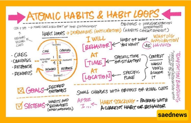 habit loops