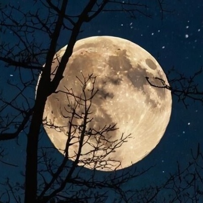 Decoding the Solar System’s Dark Mystery: Ominous Night or Promising Dawn?