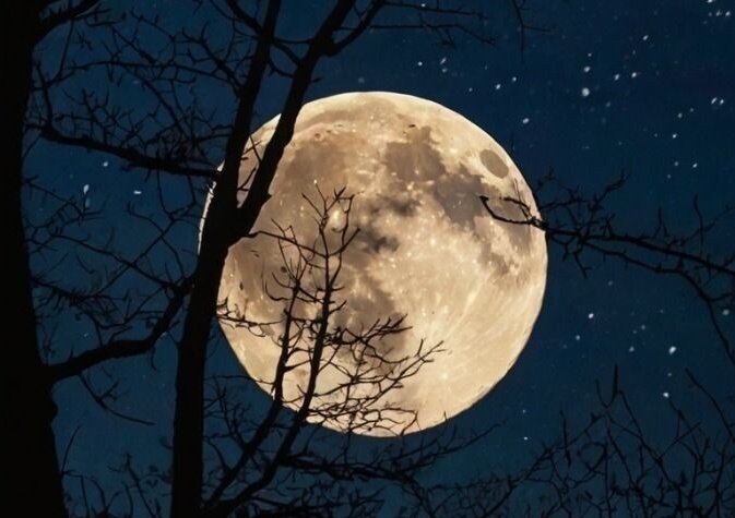 Decoding the Solar System’s Dark Mystery: Ominous Night or Promising Dawn?