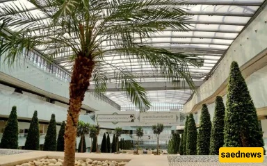 Iran Mall