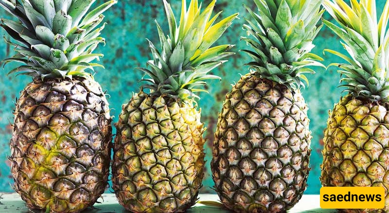 pineapple