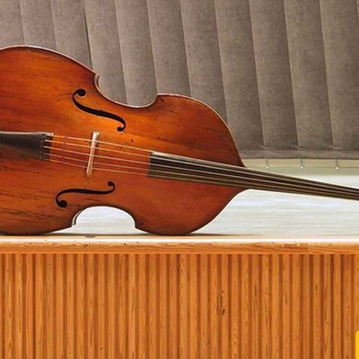 A Complete Introduction to the Double Bass Instrument 🎻📯🎵