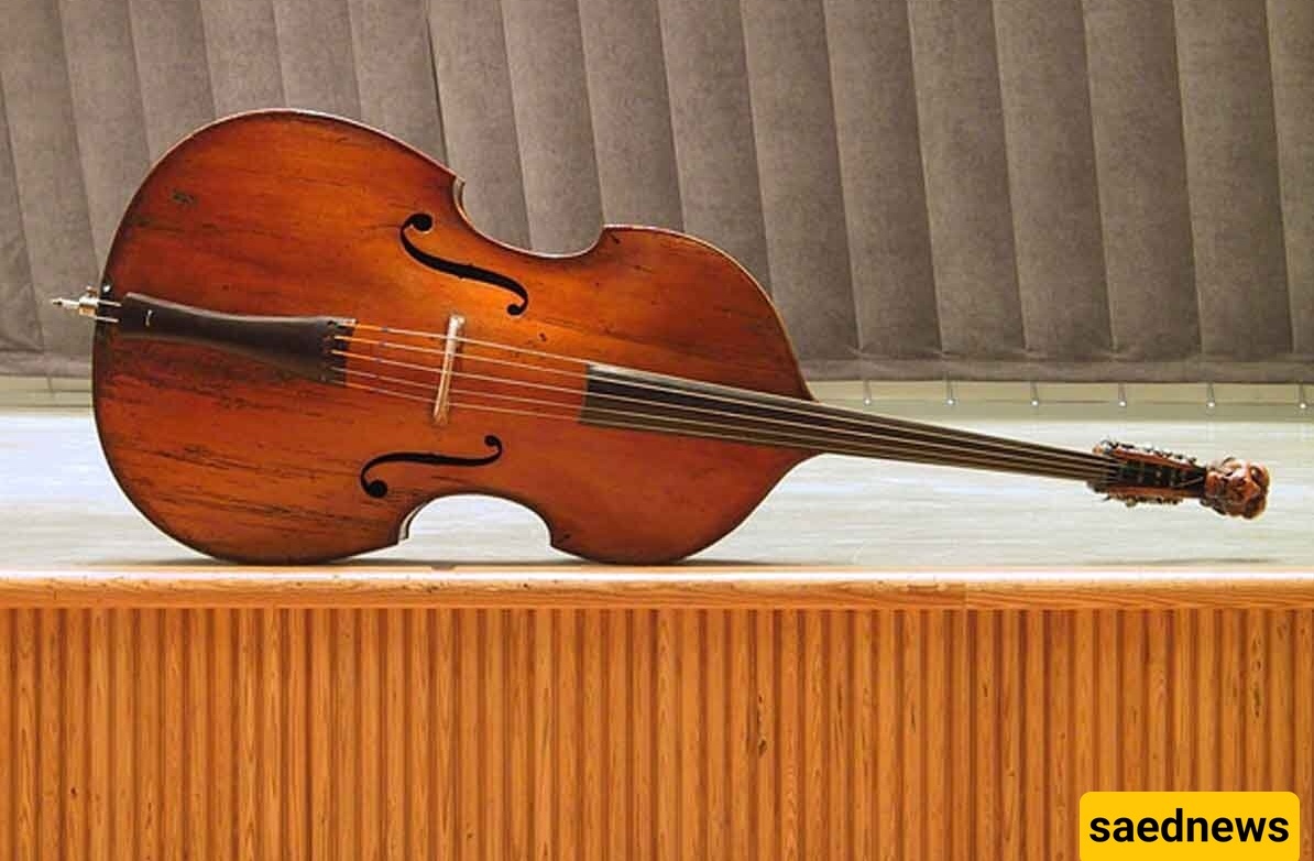 A Complete Introduction to the Double Bass Instrument 🎻📯🎵