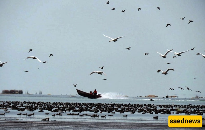 Ashuradeh Island