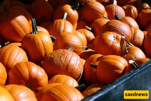winter squash soup recipe