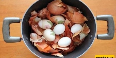 Onion: A Natural 15-Day Method for Women's Health; Supporting Body Detox and Fertility