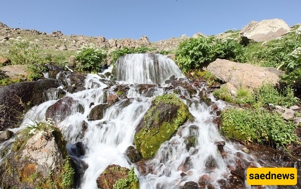 A Complete Guide to Sarein’s Attractions: From Bubbling Springs to Leather Handicrafts