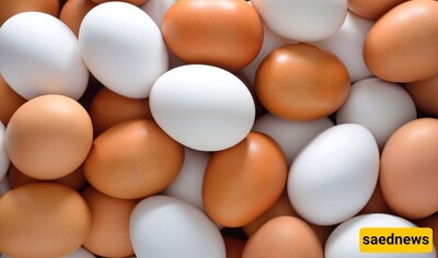 Ways to Identify a Spoiled Egg