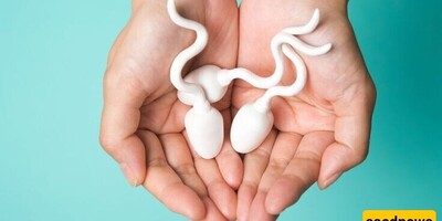Scientific Facts About The Benefits Of Male Sperm And Semen For Women's Uterus