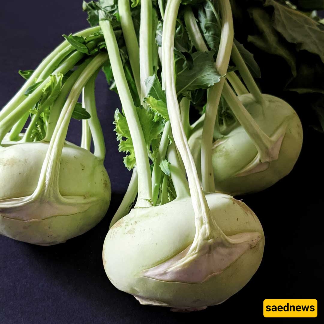 kohlrabi