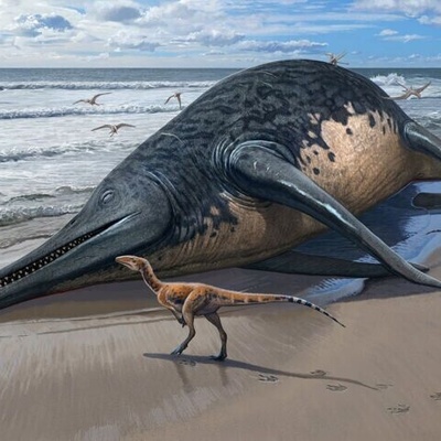 Discovery of a Creature Larger Than a Whale: Where Did This Animal Live?