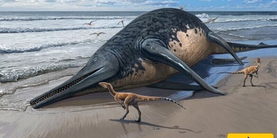 Discovery of a Creature Larger Than a Whale: Where Did This Animal Live?