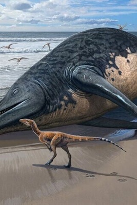 Discovery of a Creature Larger Than a Whale: Where Did This Animal Live?