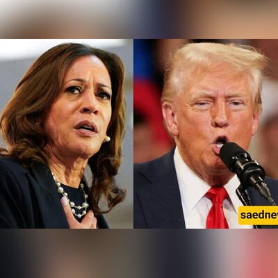 Kamala Harris Holds 4-Point Lead Over Donald Trump in Three Key Battleground States