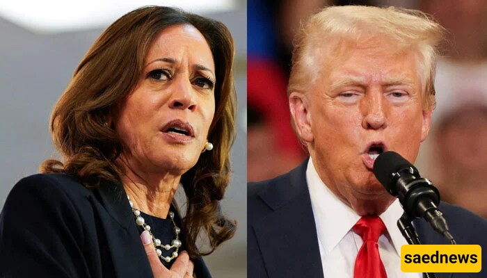 Kamala Harris Holds 4-Point Lead Over Donald Trump in Three Key Battleground States