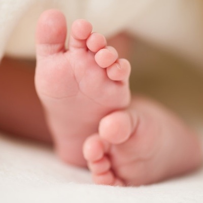 The World's Strangest Birth Methods: Can an Animal Really Give Birth Through Its Mouth?