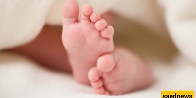 The World's Strangest Birth Methods: Can an Animal Really Give Birth Through Its Mouth?